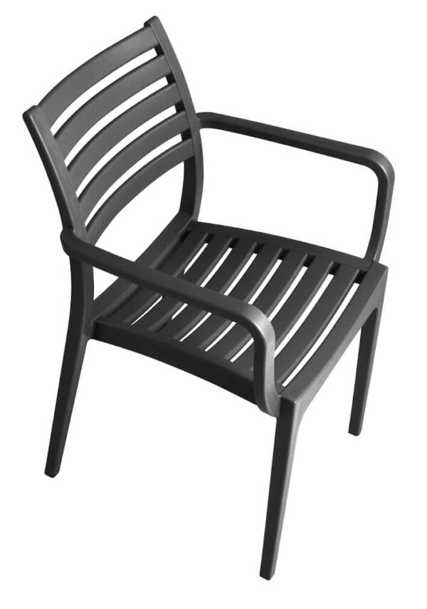 Rimini Arm Chairs - Charcoal