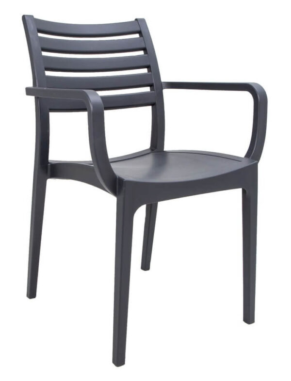 Sienna Arm Chairs - Charcoal