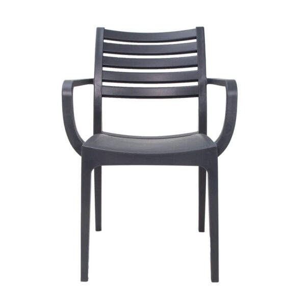 Sienna Arm Chairs - Charcoal