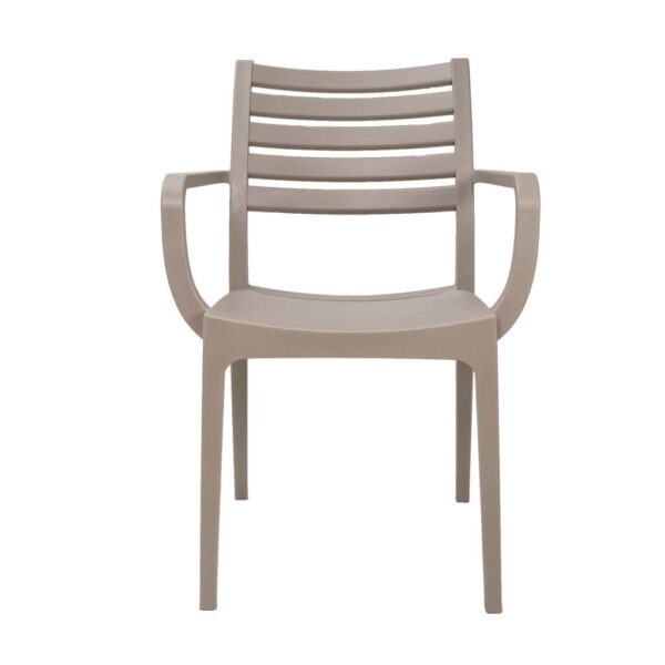 Sienna Arm Chairs - Taupe