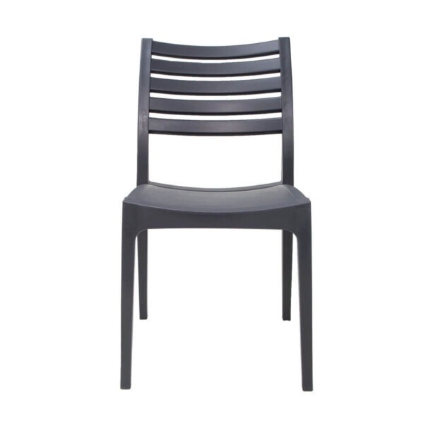 Sienna Side Chairs - Charcoal