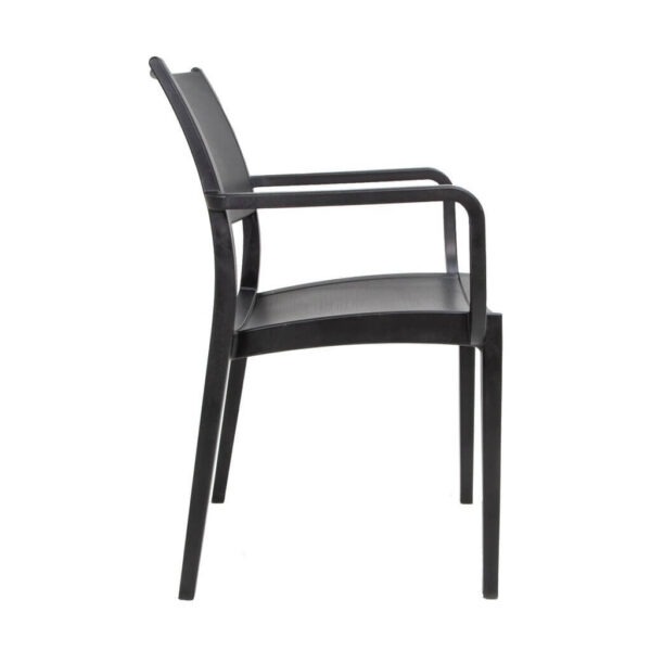 Verona Arm Chairs - Black