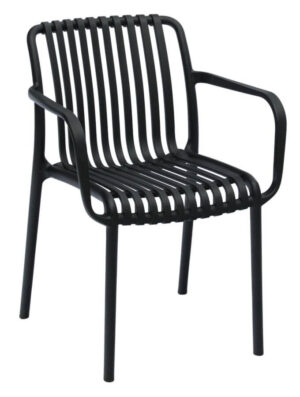 Isabella Arm Chairs - Black