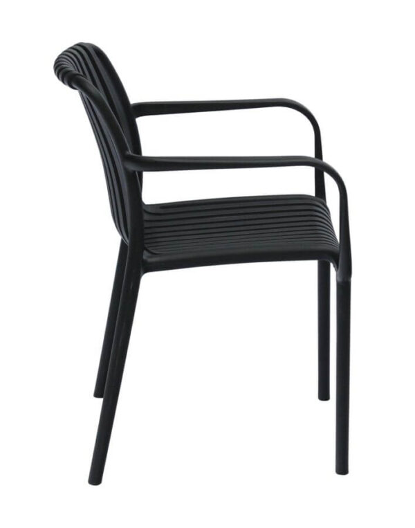 Isabella Arm Chairs - Black