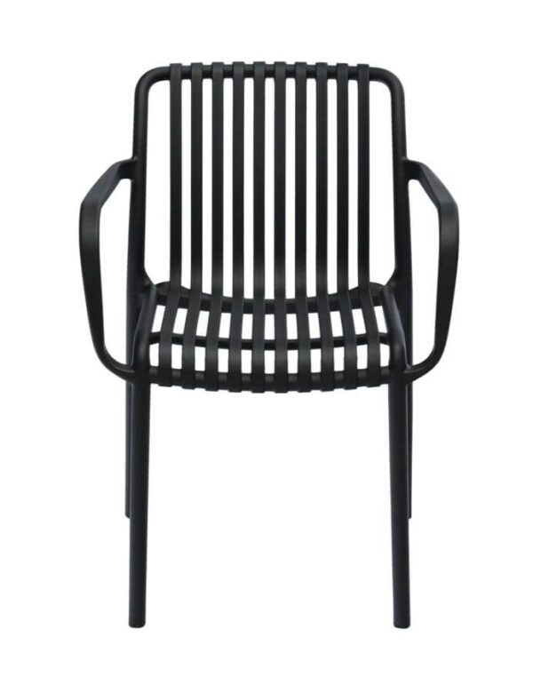 Isabella Arm Chairs - Black