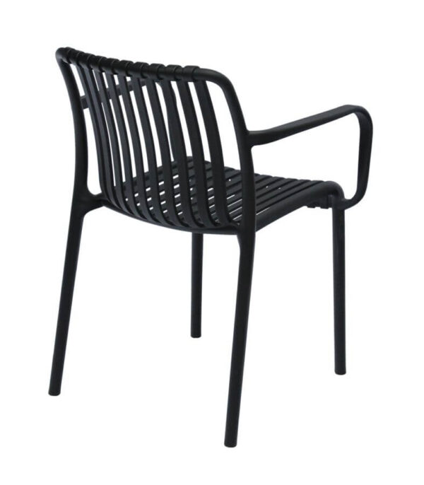 Isabella Arm Chairs - Black