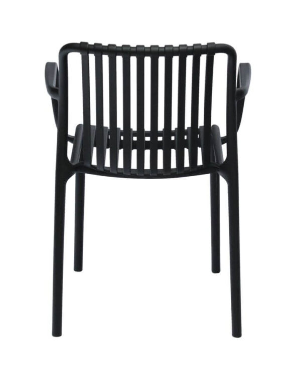 Isabella Arm Chairs - Black