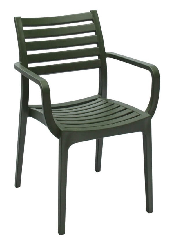 Rimini Arm Chairs - Olive Green