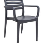 Sienna Arm Chairs - Charcoal